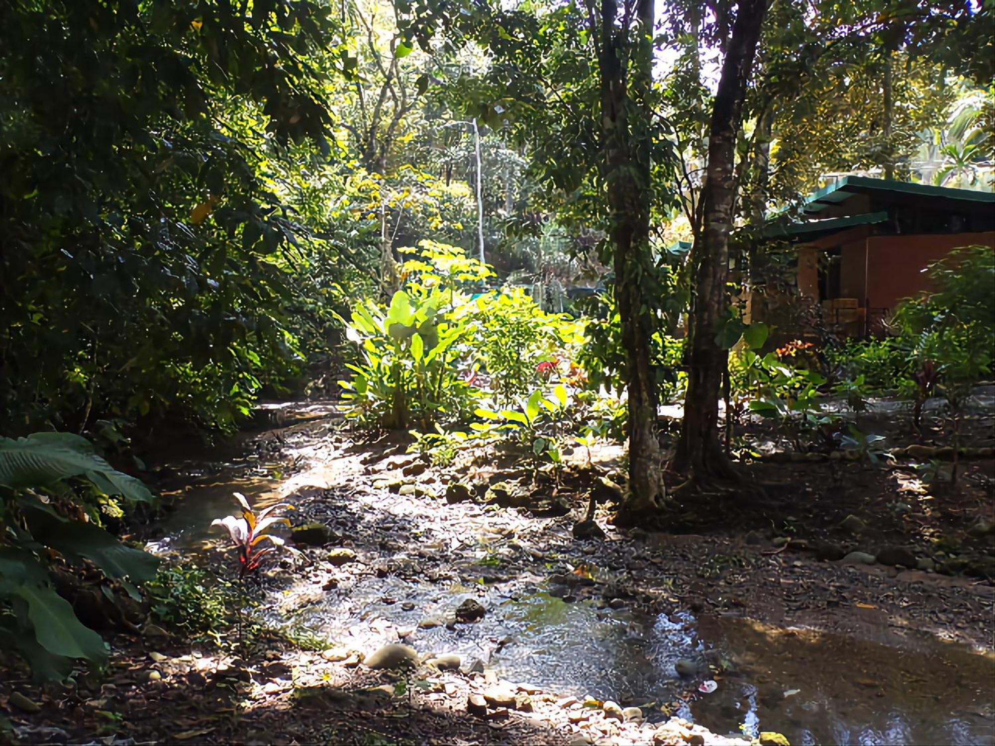 Riverside Villas Manuel Antonio Dış mekan fotoğraf